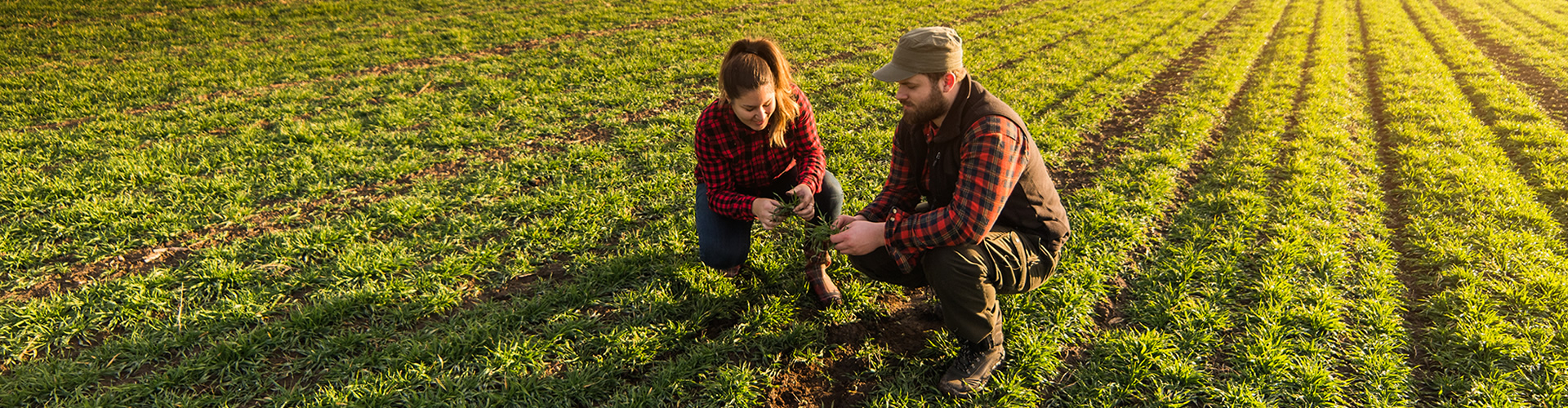 farm couple in field